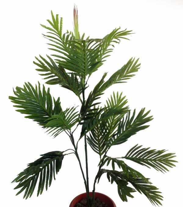 AP-TAP3FT ARECA PALM (without pot) Height:-90cm