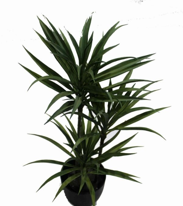 AP-YCA25 (with pot) Height:-84cm