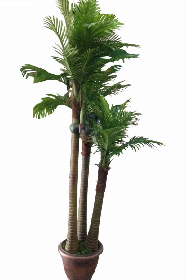 AT-T22 SET OF 3 COCOCNUT TREE (without pot) Max.Height:-240cm