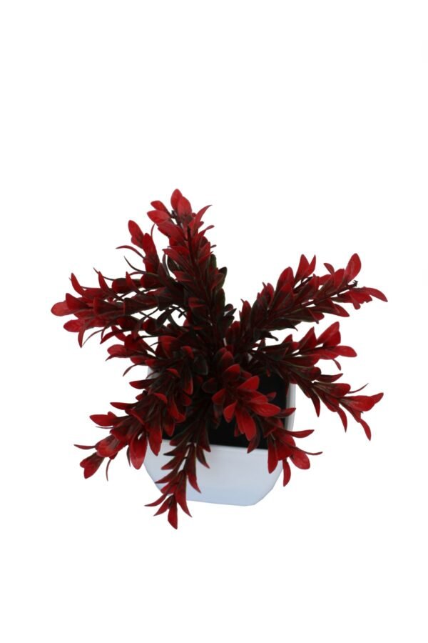 DP-1000 Plant with pot , Pot's width:-12cm , Height:-26cm - Image 4