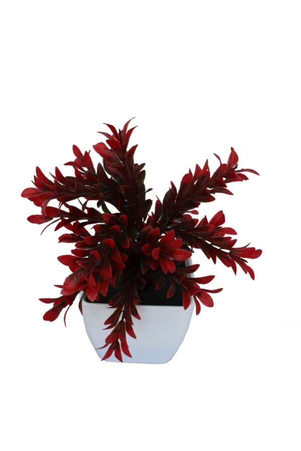DP-1000 Plant with pot , Pot's width:-12cm , Height:-26cm - Image 3