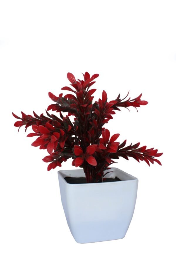 DP-1000 Plant with pot , Pot's width:-12cm , Height:-26cm