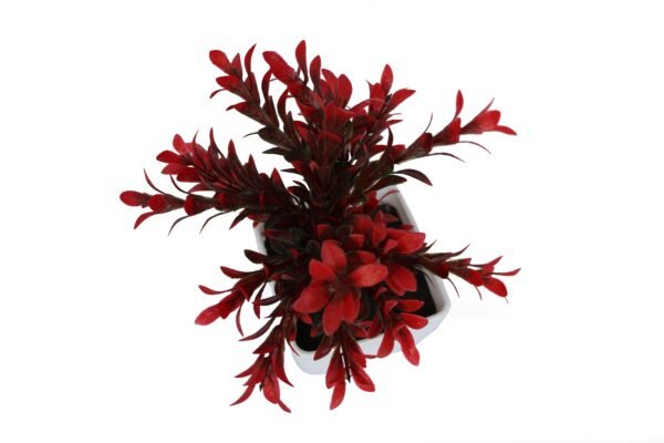 DP-1000 Plant with pot , Pot's width:-12cm , Height:-26cm - Image 2