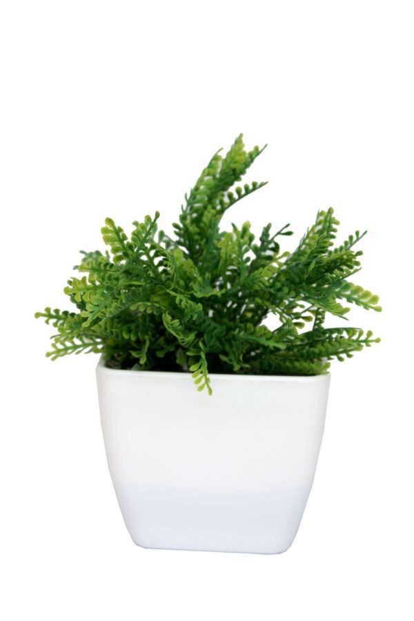 DP-1011 Plant with pot , Pot's width:-12cm , Height:-20cm