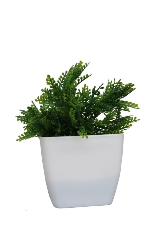 DP-1011 Plant with pot , Pot's width:-12cm , Height:-20cm - Image 3