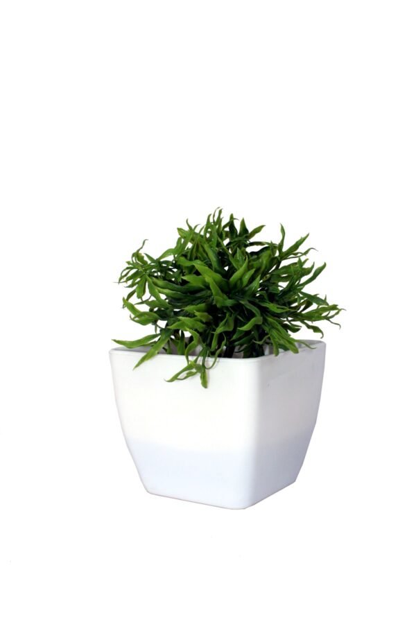 DP-1012 Plant with pot , Pot's width:-12cm , Height:-21cm
