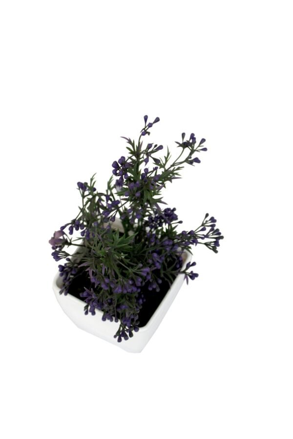 DP-501V Plant with pot , Pot's width:-12cm , Height:-26cm - Image 4