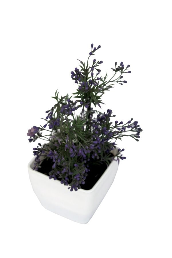 DP-501V Plant with pot , Pot's width:-12cm , Height:-26cm - Image 3