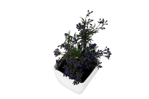 DP-501V Plant with pot , Pot's width:-12cm , Height:-26cm - Image 2