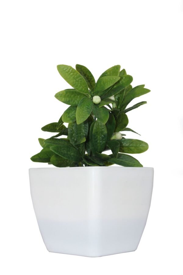 DP-504W Plant with pot , Pot's width:-12cm , Height:-21cm