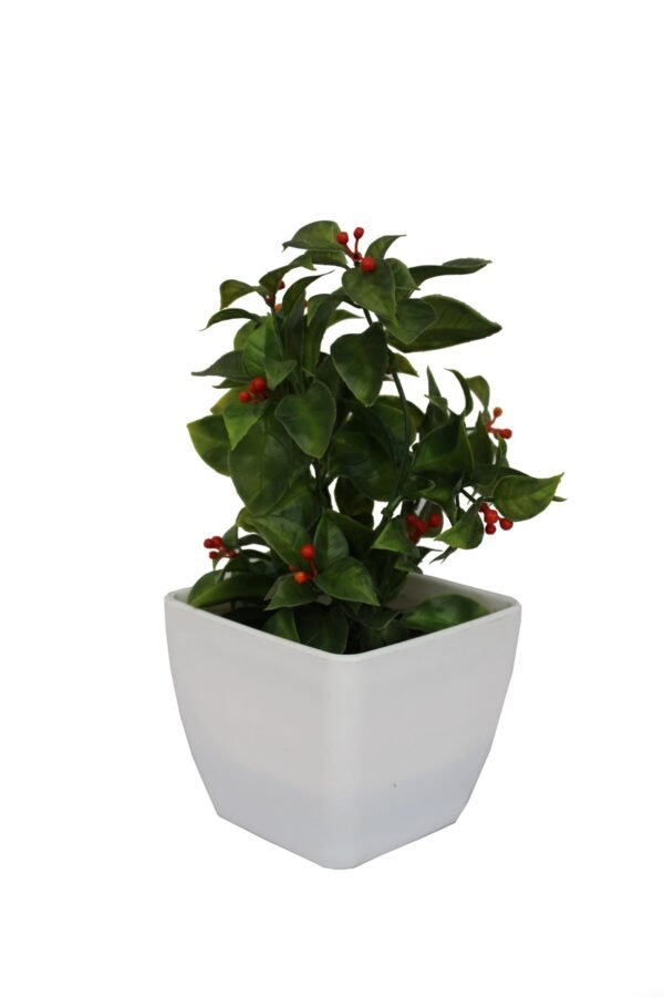 DP-507R Plant with pot , Pot's width:-12cm , Height:-21cm