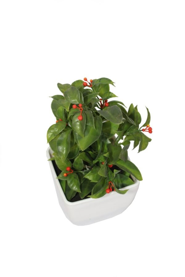 DP-507R Plant with pot , Pot's width:-12cm , Height:-21cm - Image 3