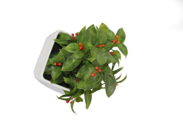DP-507R Plant with pot , Pot's width:-12cm , Height:-21cm - Image 2