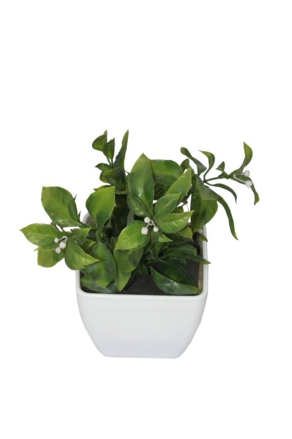 DP-507W Plant with pot , Pot's width:-12cm , Height:-21cm - Image 3