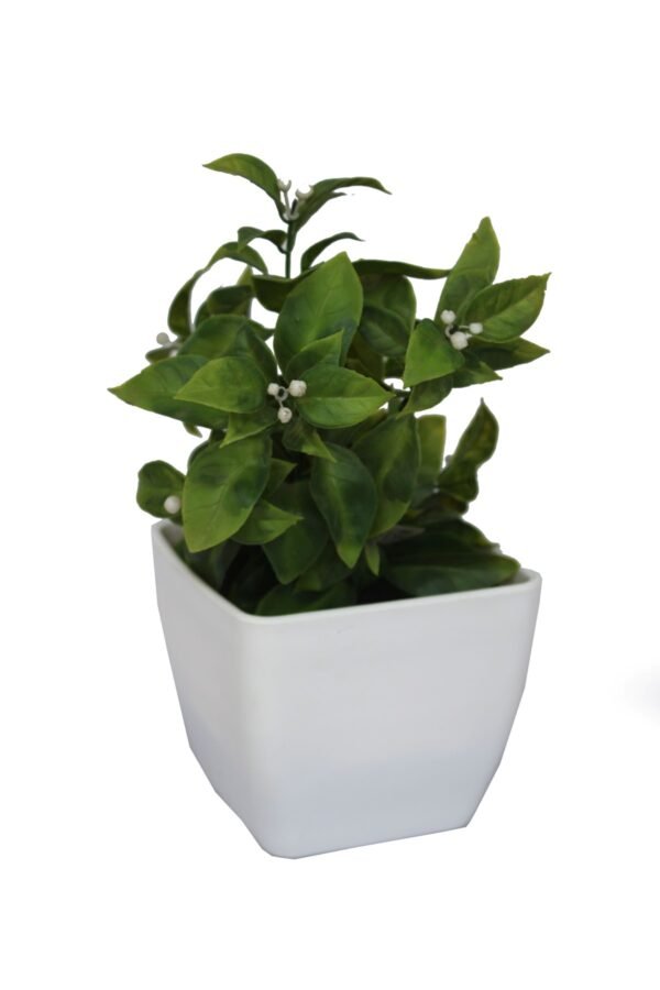 DP-507W Plant with pot , Pot's width:-12cm , Height:-21cm