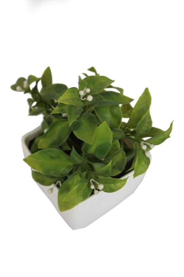 DP-507W Plant with pot , Pot's width:-12cm , Height:-21cm - Image 2