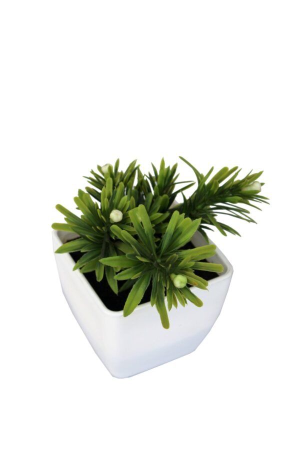 DP-512W Plant with pot , Pot's width:-12cm , Height:-24cm