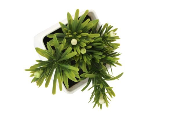 DP-512W Plant with pot , Pot's width:-12cm , Height:-24cm - Image 3