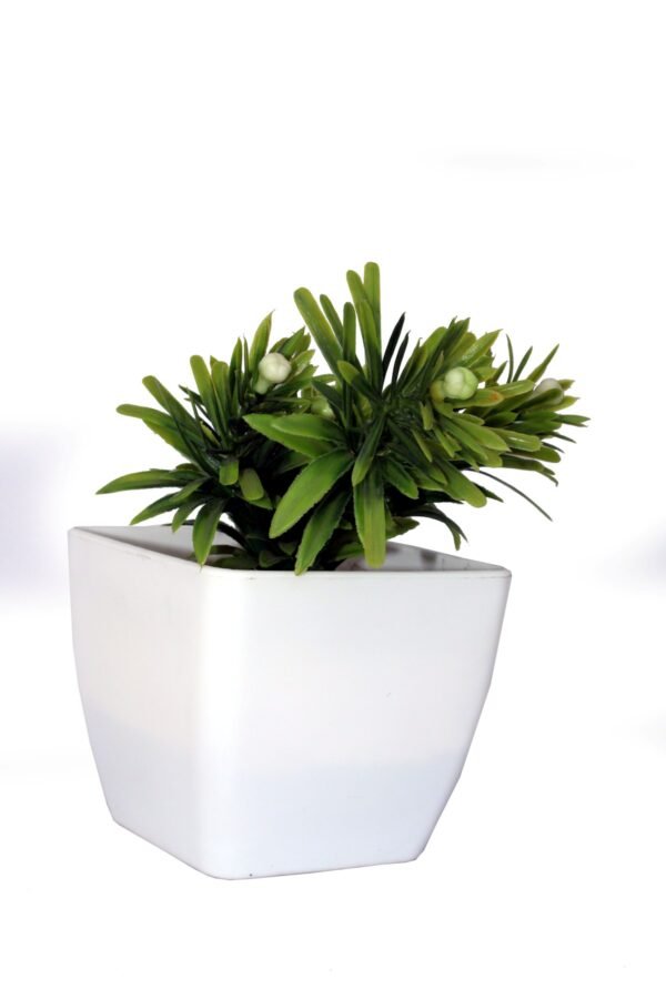 DP-512W Plant with pot , Pot's width:-12cm , Height:-24cm - Image 2