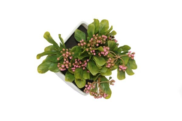 DP-921P Plant with pot , Pot's width:-12cm , Height:-21cm - Image 2