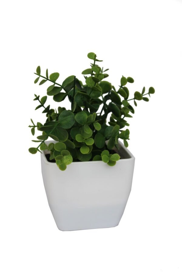 DP-957 Plant with pot , Pot's width:-12cm , Height:-21cm
