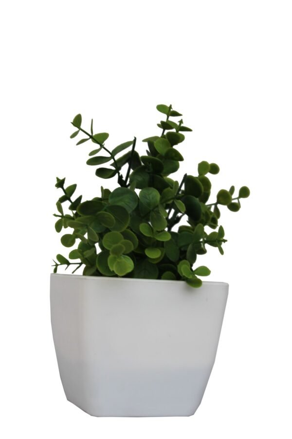 DP-957 Plant with pot , Pot's width:-12cm , Height:-21cm - Image 2