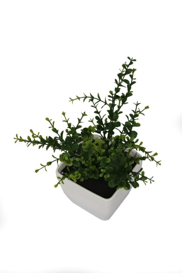 DP-959 Plant with pot , Pot's width:-12cm , Height:-23cm - Image 3