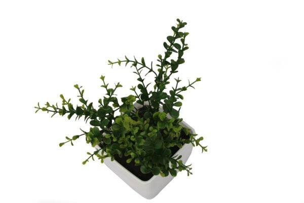 DP-959 Plant with pot , Pot's width:-12cm , Height:-23cm - Image 2