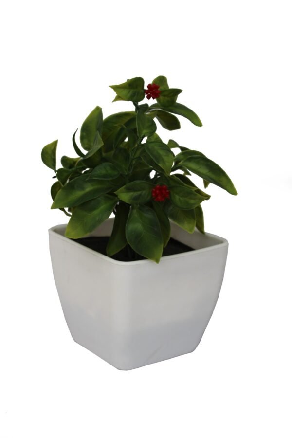 DP-992R Plant with pot , Pot's width:-12cm , Height:-21cm - Image 3
