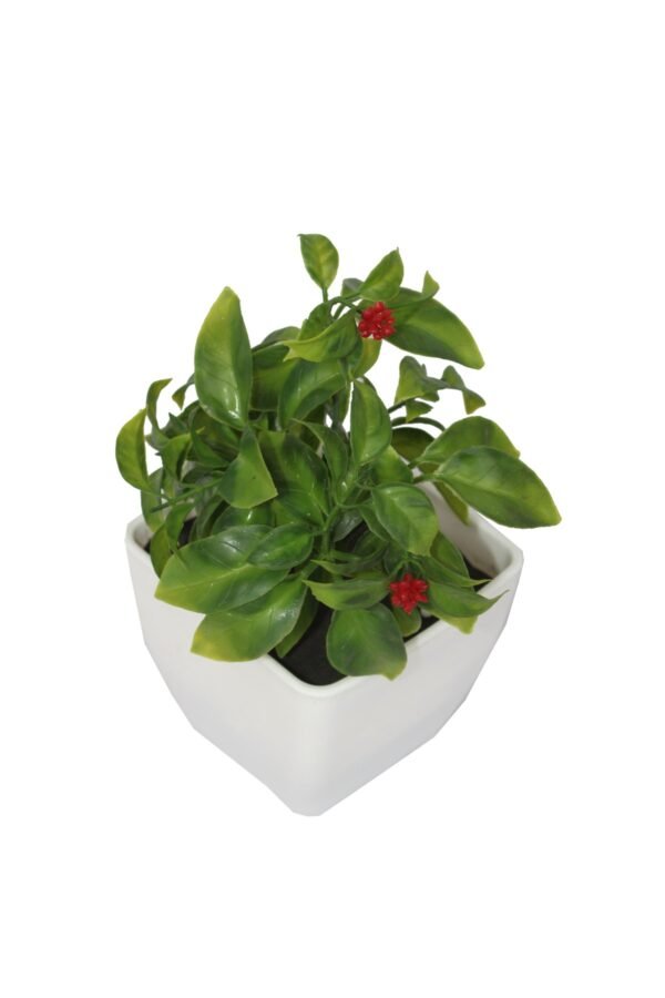 DP-992R Plant with pot , Pot's width:-12cm , Height:-21cm