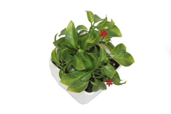 DP-992R Plant with pot , Pot's width:-12cm , Height:-21cm - Image 2
