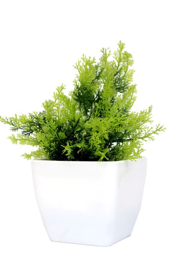 DP-1003 Plant with pot , Pot's width:-12cm , Height:-20cm