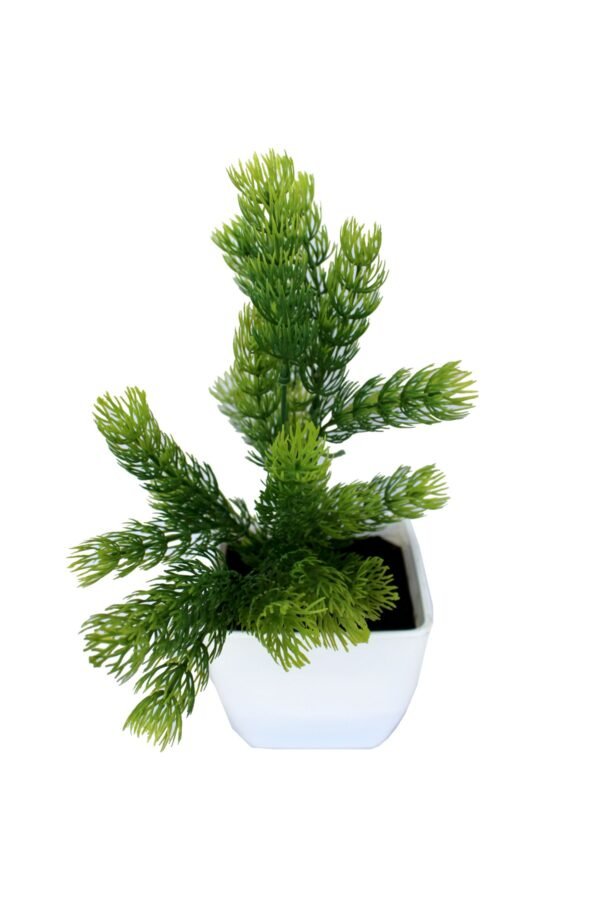DP-999 Plant with pot , Pot's width:-12cm , Height:-26cm