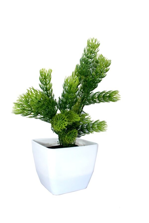DP-999 Plant with pot , Pot's width:-12cm , Height:-26cm - Image 3