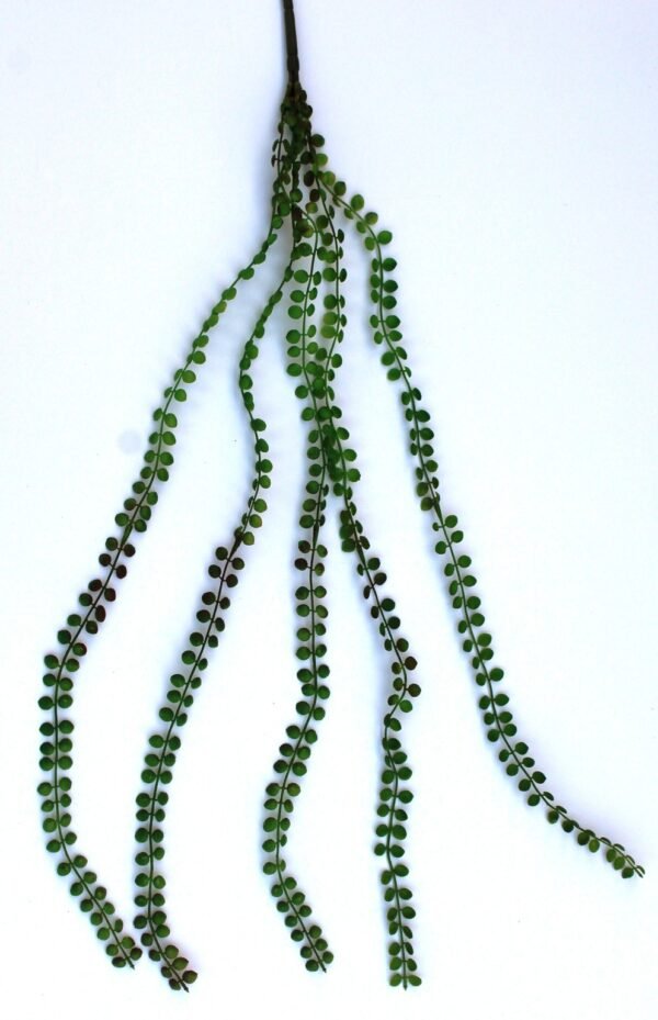 HC-HJHLR-GG Heads:-5, Length:-78cm - Image 2