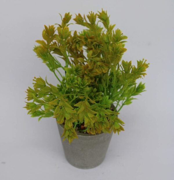 PA0205GY Plant with pot, Pot's Width:-9cm, Height:-25cm - Image 4