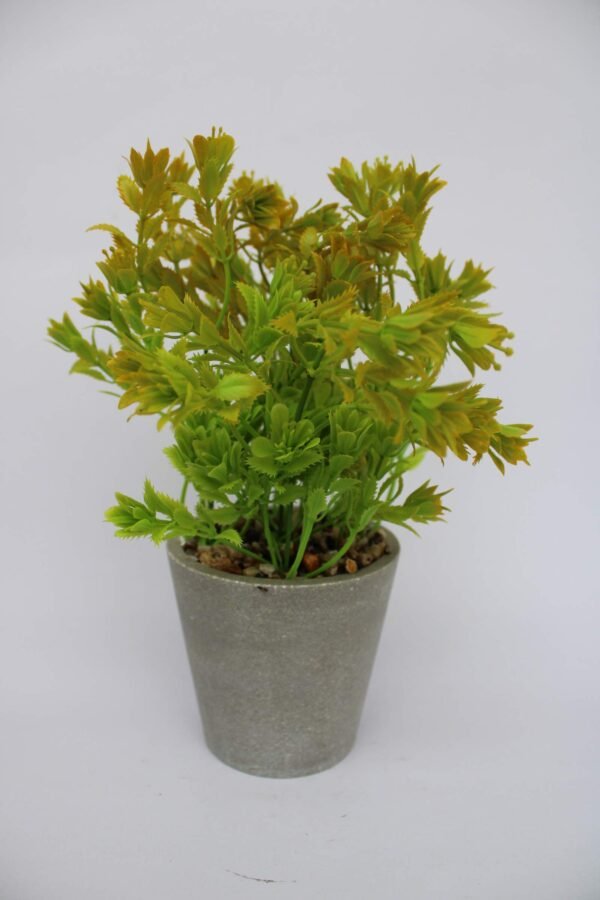 PA0205GY Plant with pot, Pot's Width:-9cm, Height:-25cm