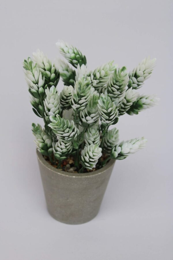 PA0208GW Plant with pot, Pot's Width:-9cm, Height:-17cm