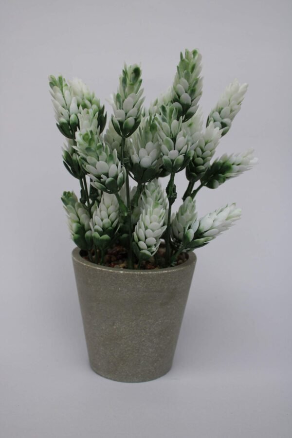 PA0208GW Plant with pot, Pot's Width:-9cm, Height:-17cm - Image 3