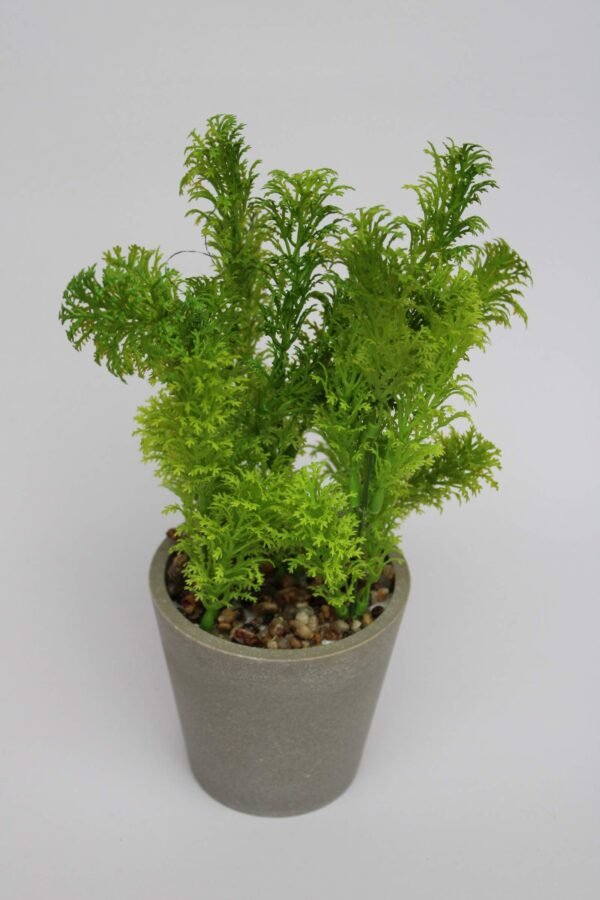 PA0209GG Plant with pot, Pot's Width:-9cm, Height:-25cm - Image 3