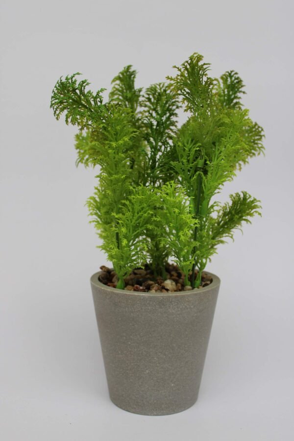 PA0209GG Plant with pot, Pot's Width:-9cm, Height:-25cm