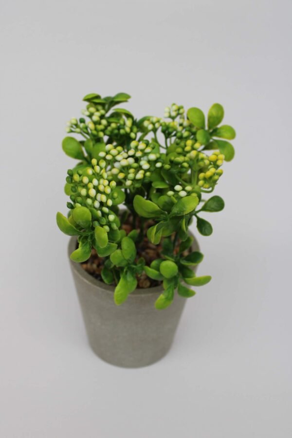 PA0210GY Plant with pot, Pot's Width:-9cm, Height:-20cm