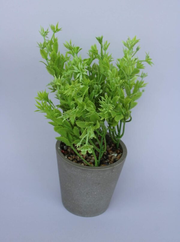 PA0211LG Plant with pot, Pot's Width:-9cm, Height:-25cm