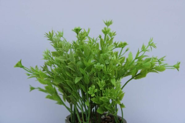 PA0211LG Plant with pot, Pot's Width:-9cm, Height:-25cm - Image 2