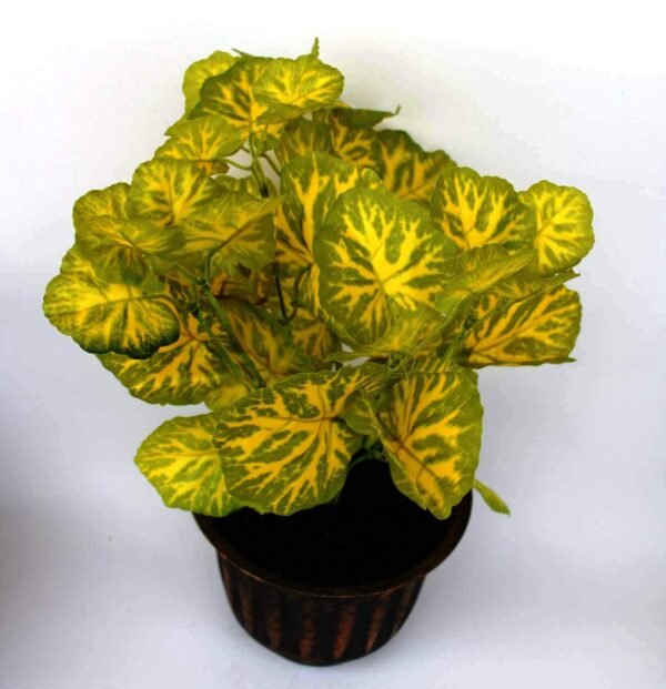 LPA-PABT01YG Height:- 42cm Pot's Height:-13cm - Image 4
