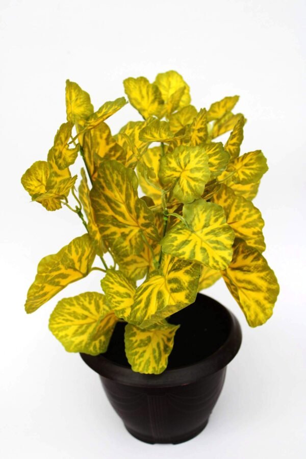 LPA-PABT01YG Height:- 42cm Pot's Height:-13cm
