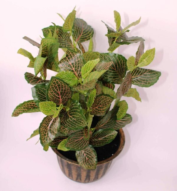 LPA-PABT05GR Height:- 45cm Pot's Height:-13cm - Image 2