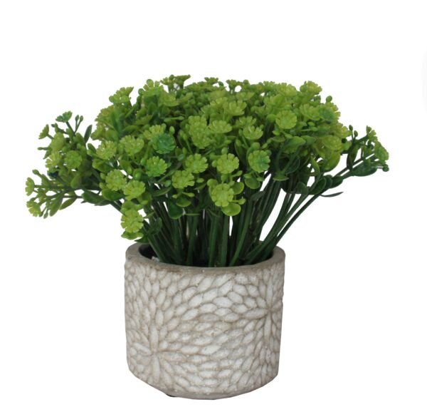 PCOFLR905 Plant with pot, Pot's Width:-08cm, Total Height:-15cm - Image 4