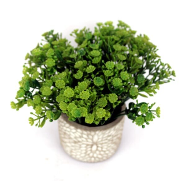 PCOFLR905 Plant with pot, Pot's Width:-08cm, Total Height:-15cm - Image 3
