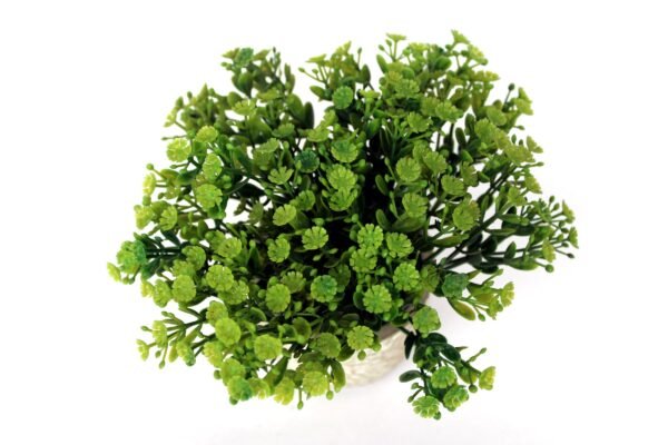 PCOFLR905 Plant with pot, Pot's Width:-08cm, Total Height:-15cm - Image 2